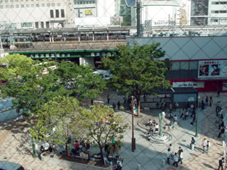 20060520-1.jpg