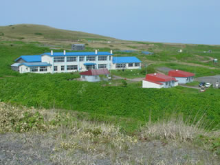 20060612-7.jpg