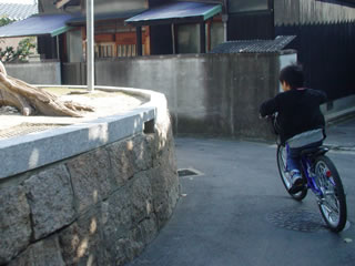 20061115-4.jpg