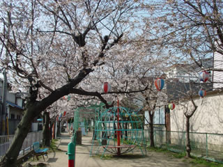 20070331-1.jpg