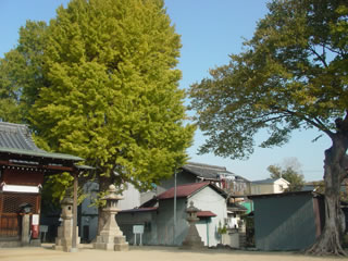 20071124-4.jpg