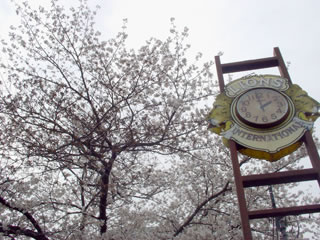 20080402-1.jpg