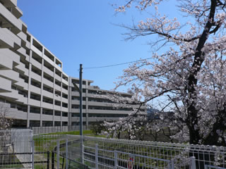 20100408-1.jpg