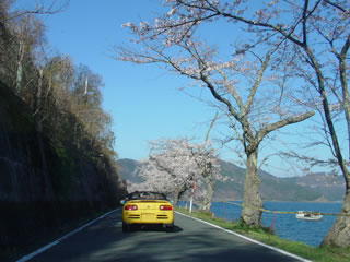 20100408-14.jpg