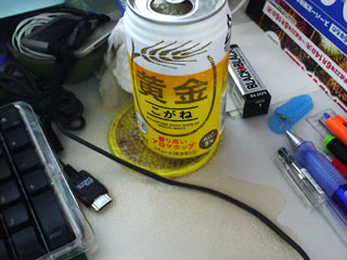 20100818.jpg