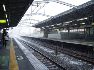20110211-1.jpg