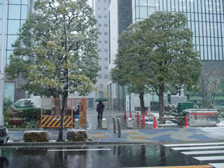 20110211-4.jpg