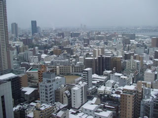 20110211-7.jpg