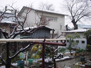 20110214-1.jpg