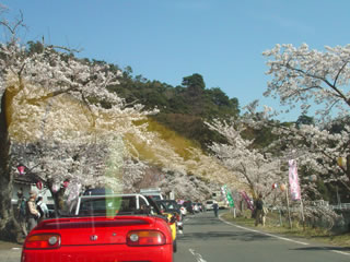 20110414-7.jpg