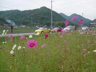 20121013-13.jpg