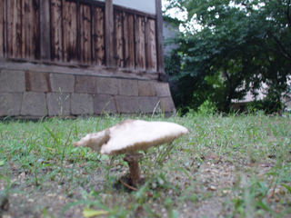 20140816-1.jpg